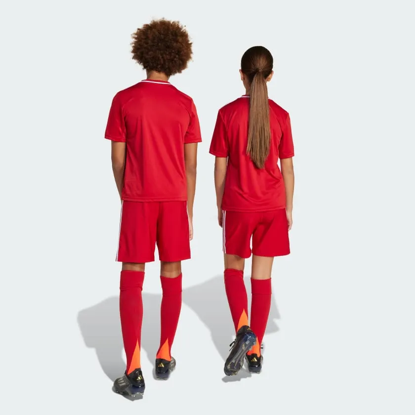adidas Tastigo 25 Shorts Kids
