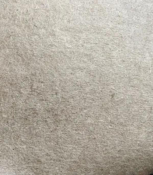 Coconut Leather