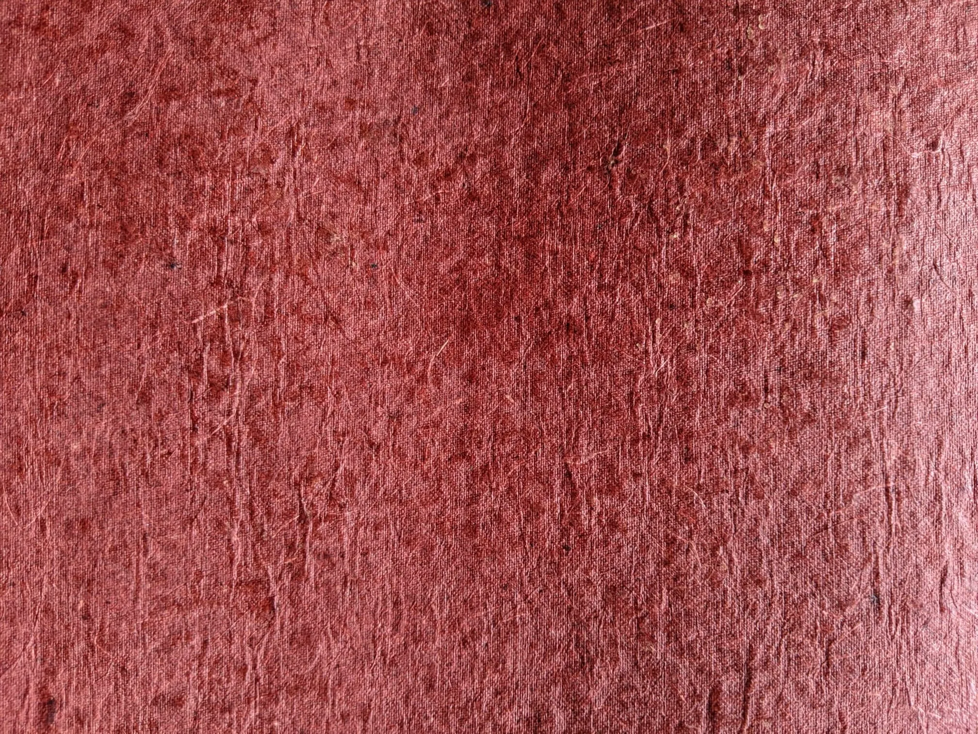 Coconut Leather
