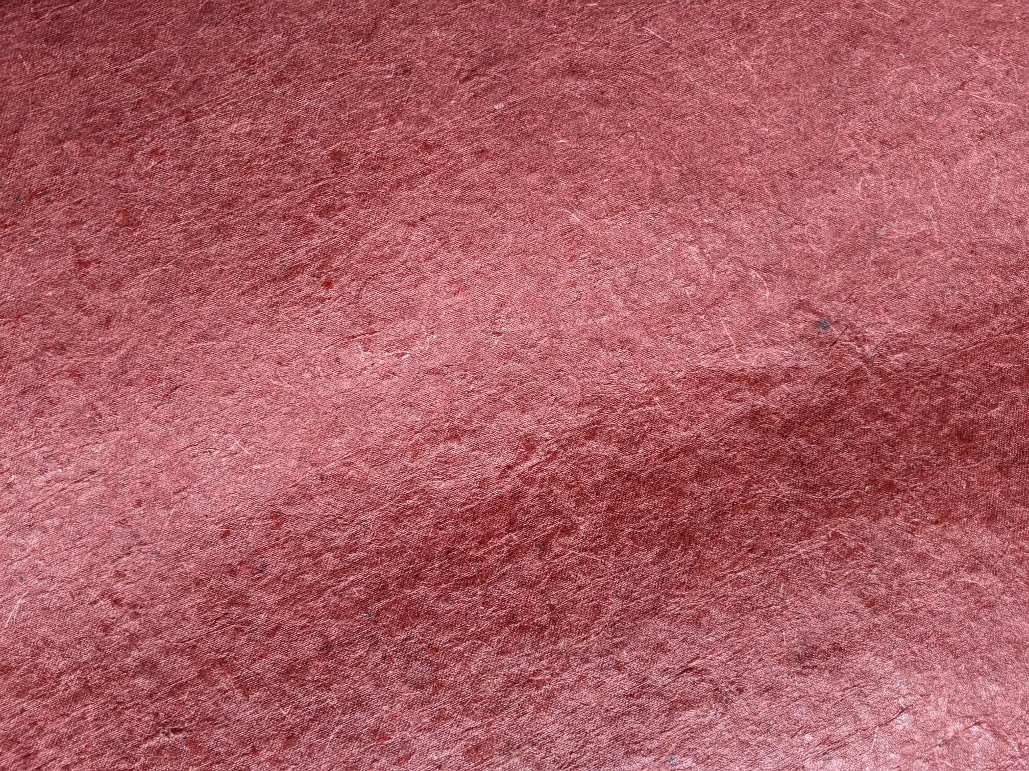 Coconut Leather