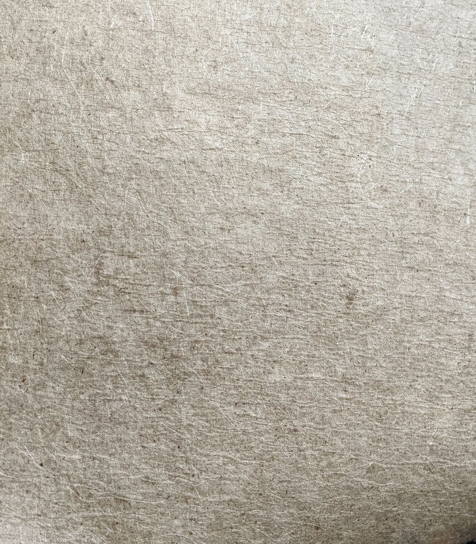 Coconut Leather