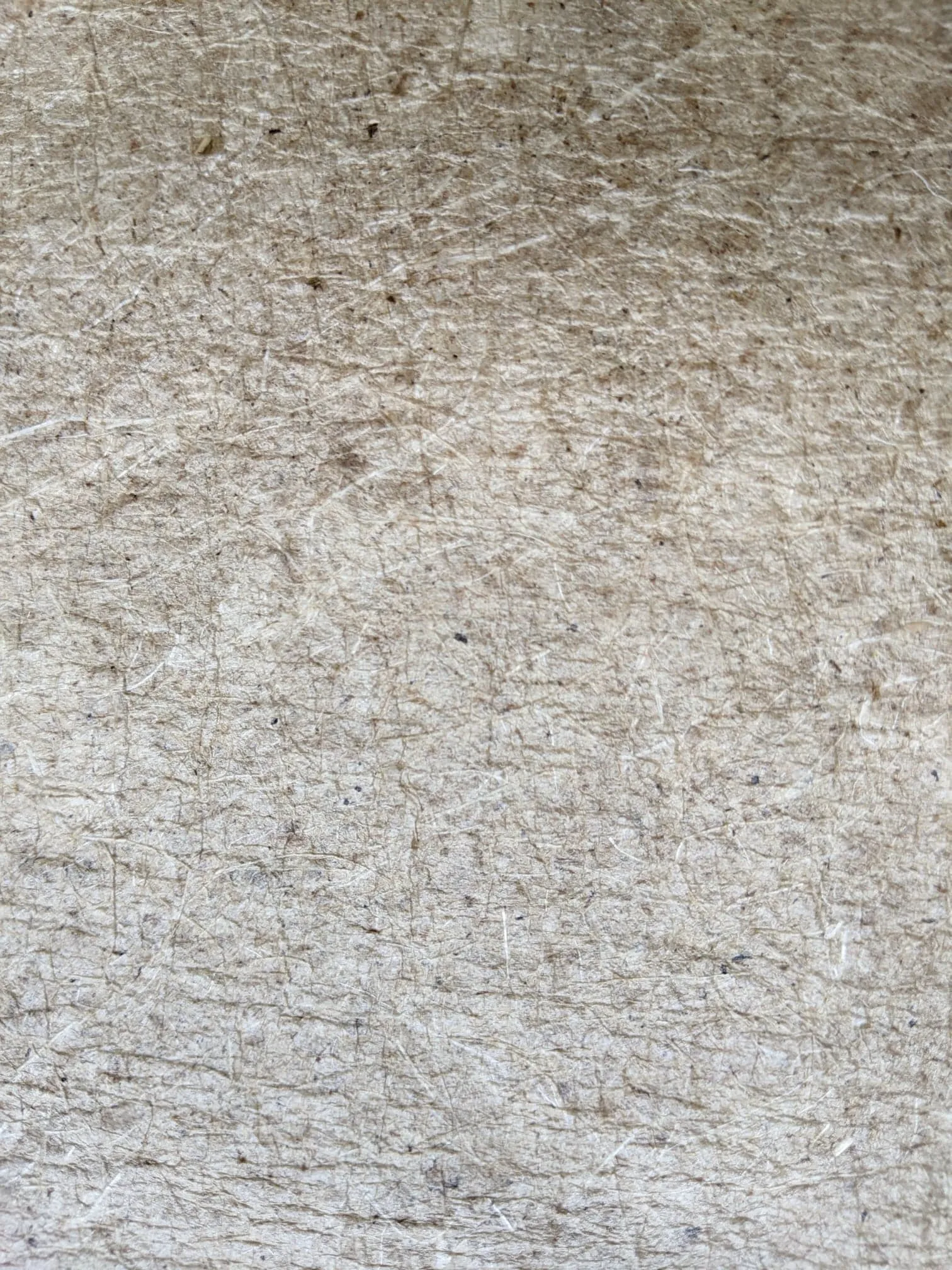 Coconut Leather