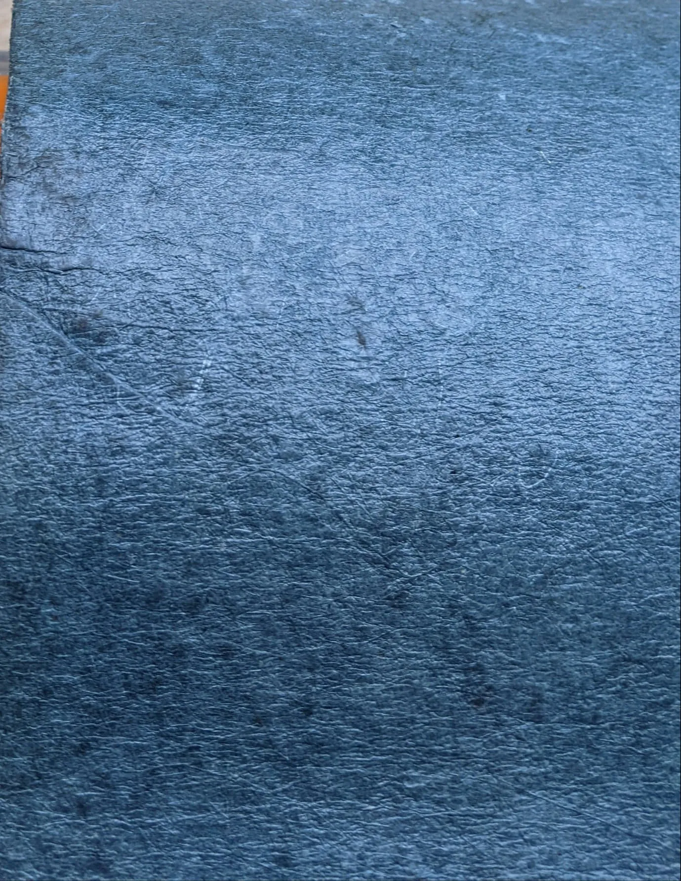 Coconut Leather