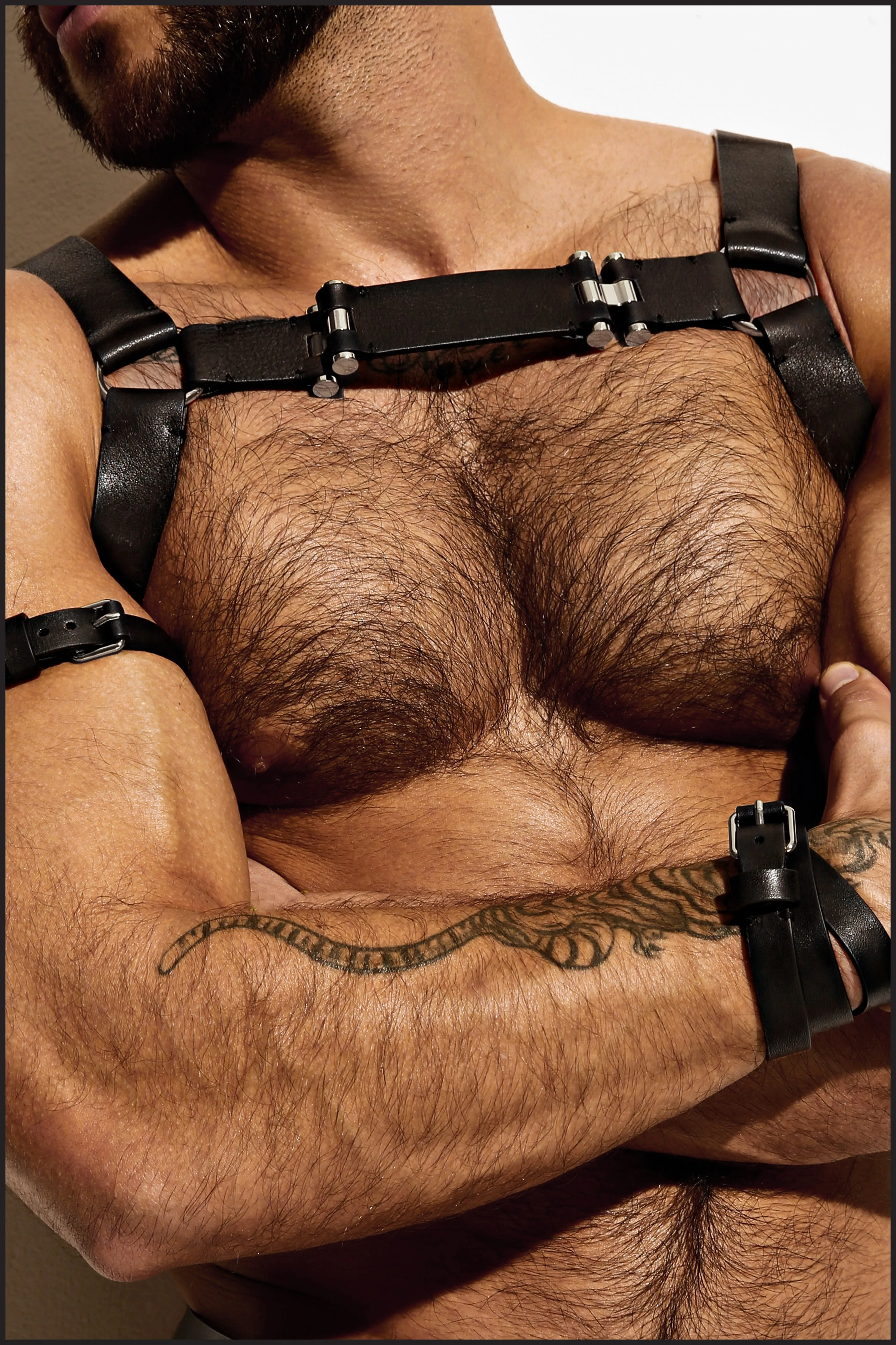 Leather Chest Harness