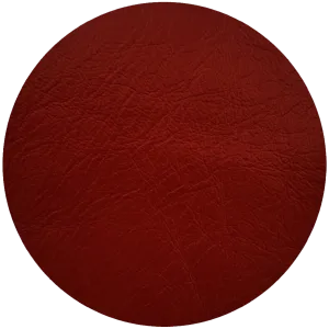 Leather Dye Paint Claret