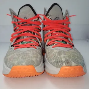Nike Lebron XIX