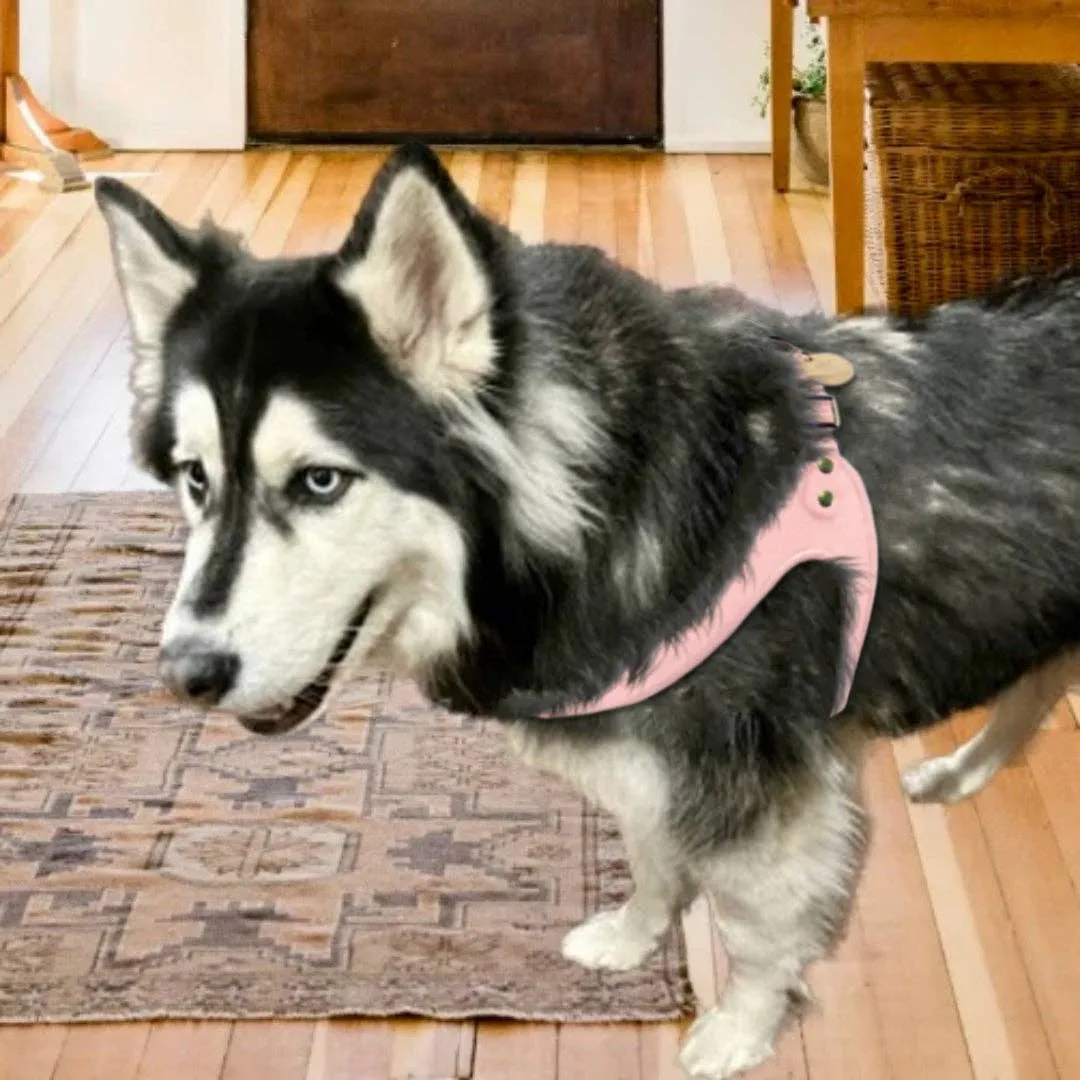 PoisePup - STEP-IN HARNESS - BELLA ROSE