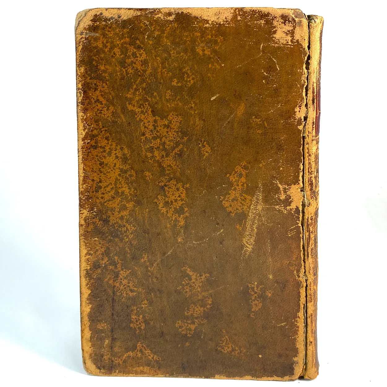 Set of Four Leather Books: The Spectator by Joseph Addison & Richard Steele