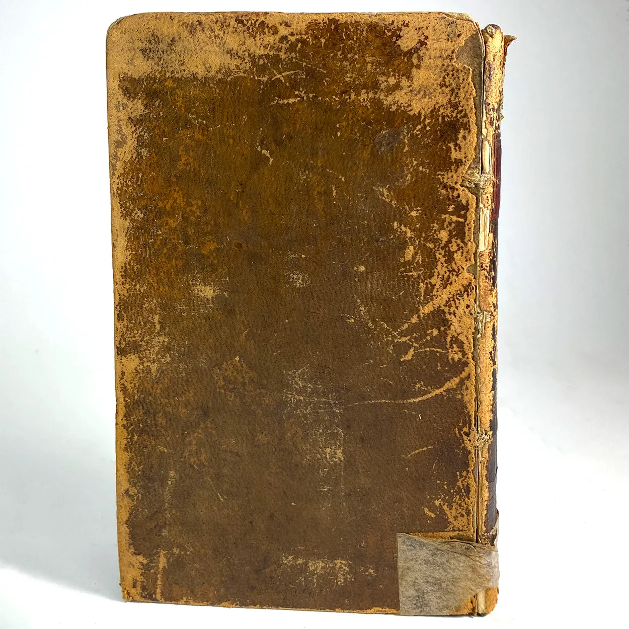 Set of Four Leather Books: The Spectator by Joseph Addison & Richard Steele
