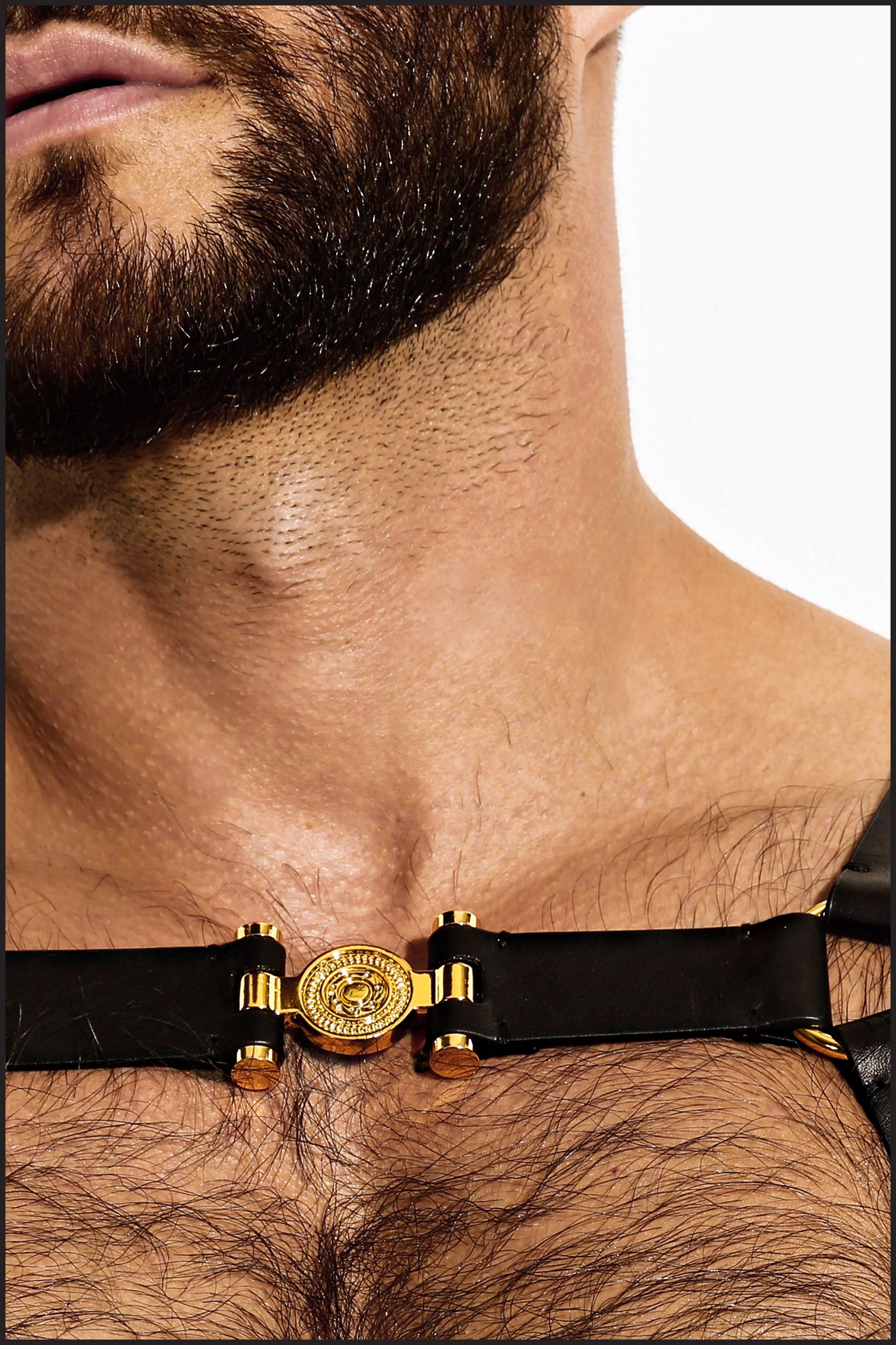 Single Grecian Harness