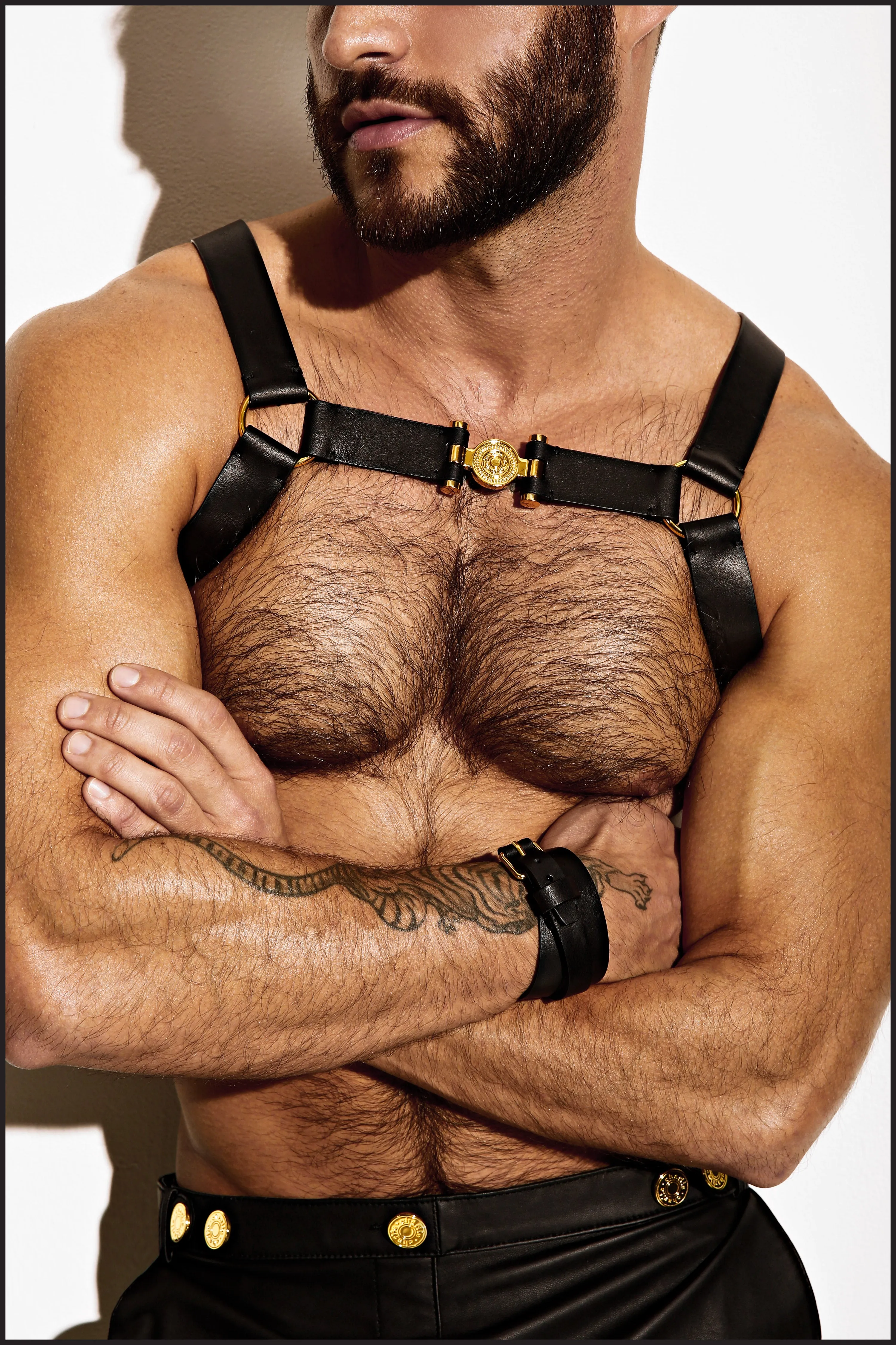 Single Grecian Harness