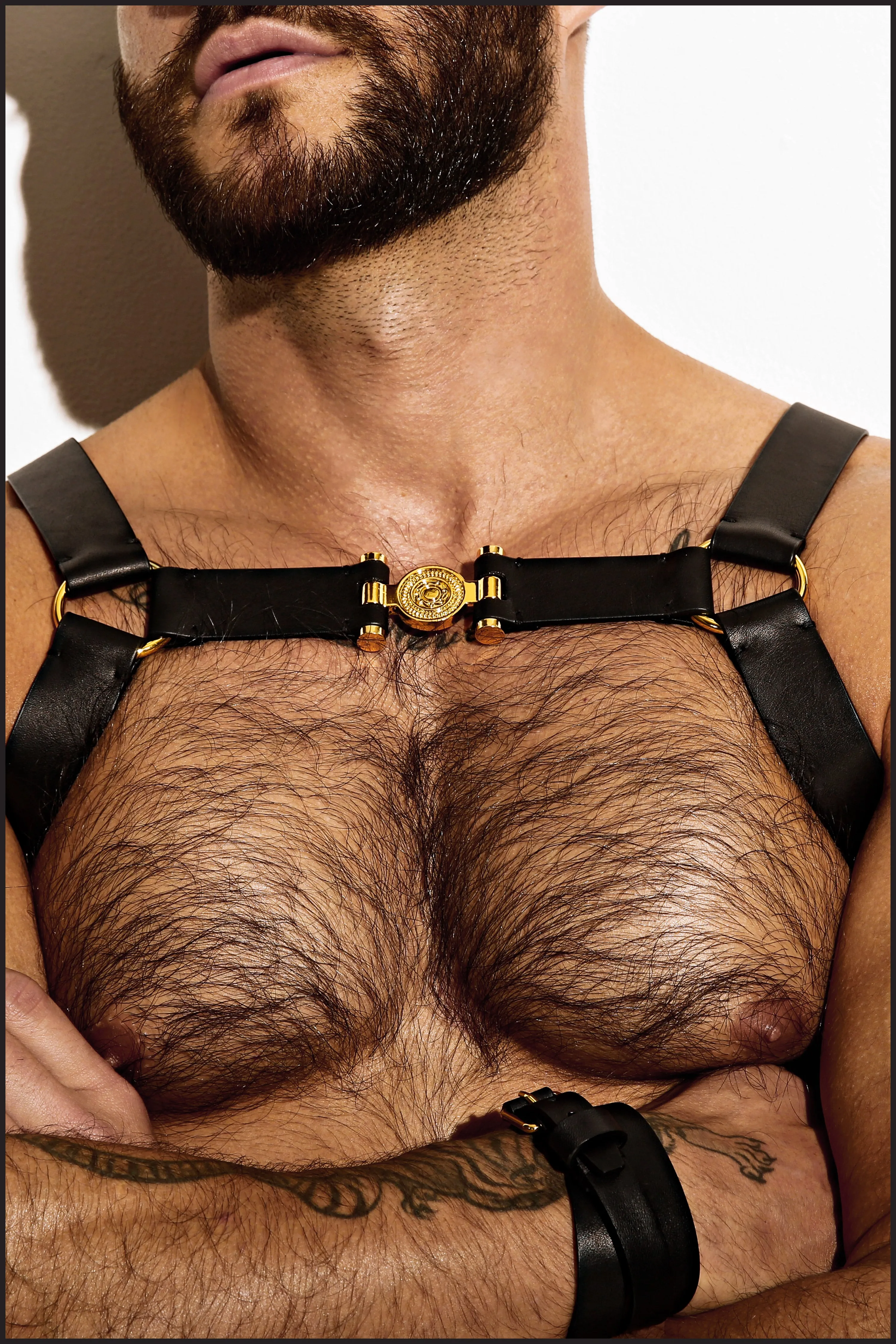 Single Grecian Harness